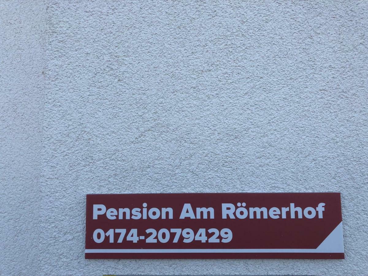 Pension Am Roemerhof ミュンツェンベルク エクステリア 写真